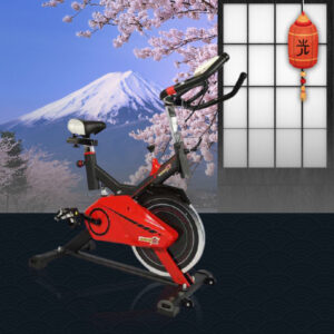 Xe đạp tập Okinawa X